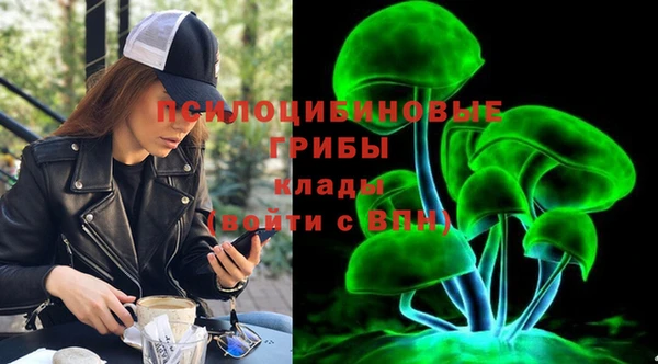 прущая мука Алзамай