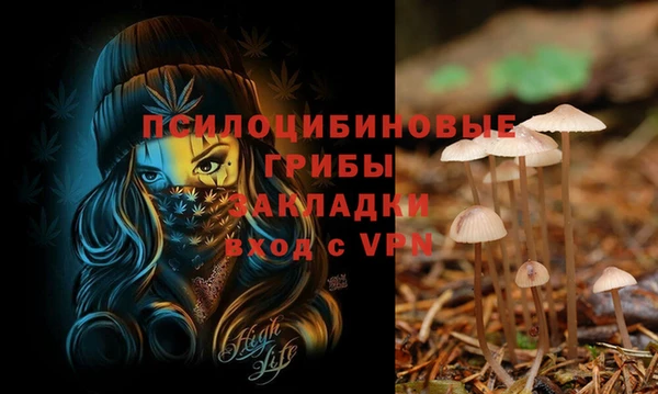бошки Ельня