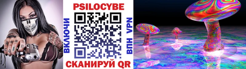 Псилоцибиновые грибы GOLDEN TEACHER  где можно купить   Бологое 