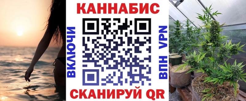 Марихуана планчик  где купить   Бологое 